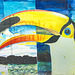 Toucan Mural