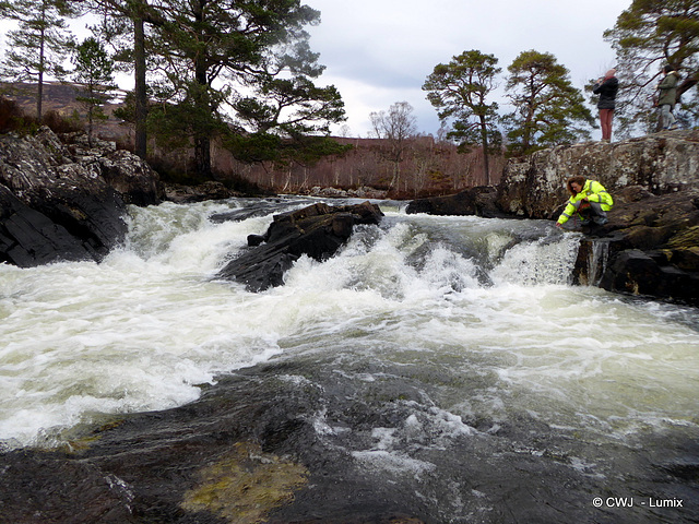 Glen Affric