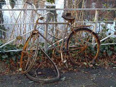#19 Rostiges Fahrrad / Rusted bicycle