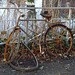 #19 Rostiges Fahrrad / Rusted bicycle