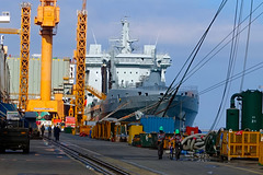 RFA TIDESURGE