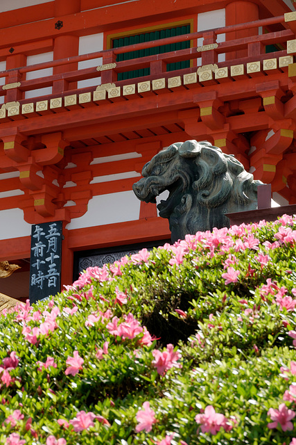 Temple Yasaka-jinja (八坂神社)