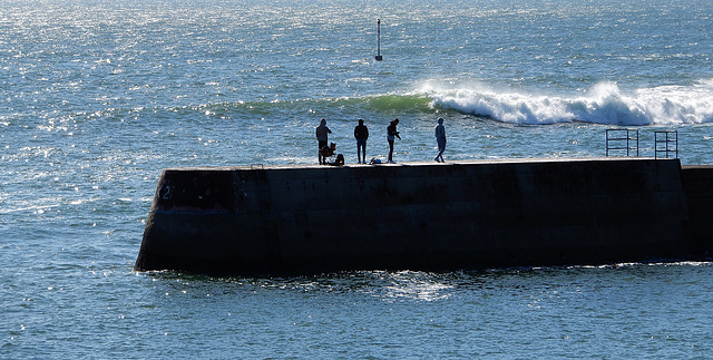 Nager dans le ciel et voler sur la mer,