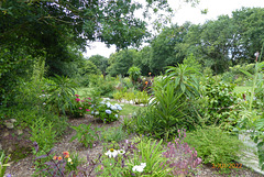 un jardin a LANDREVARZEC 1/3 un jardin a LANDREVARZEC 1/3