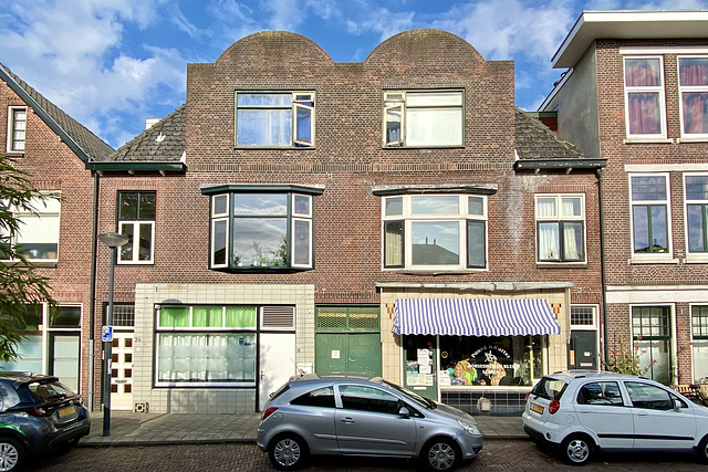 Double house on De Genestetstraat