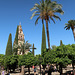 Mezquita-Catedral de Cordoba