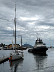 Floro havn