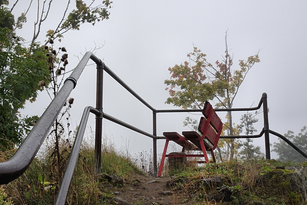 Happy Bench Fence Whatsoever.....