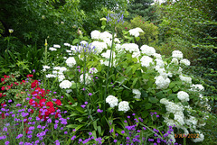 un jardin à LANDREVARZEC 3/3