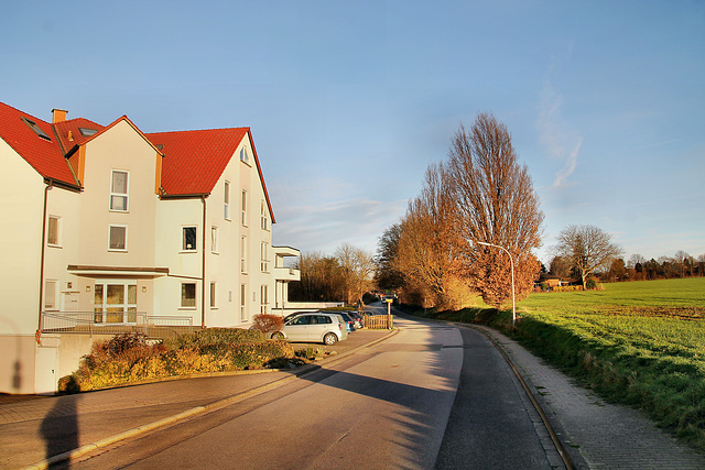 Mühlhausener Dorfstraße (Unna-Mühlhausen) / 12.02.2022