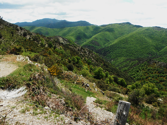 07 LES PLANTIERS -Montée vers le col de l'ESPINAS