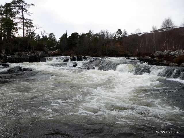 Glen Affric