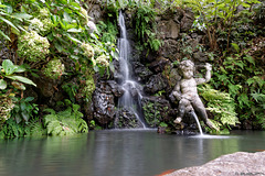 im Jardim Tropical Monte Palace (© Buelipix)