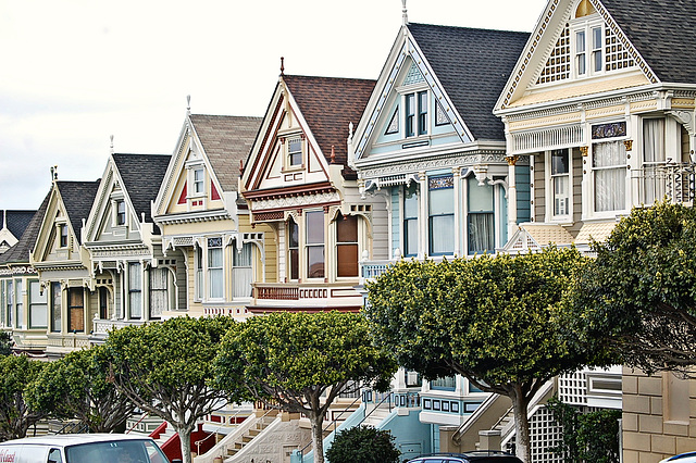 Painted Ladies