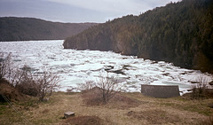 The ice in Ganny Cove Arm on Sunday
