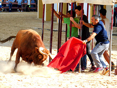 Le courage et la peur.