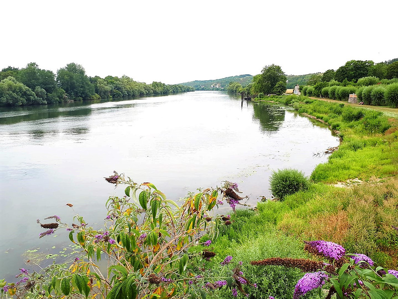 Les bords de Seine