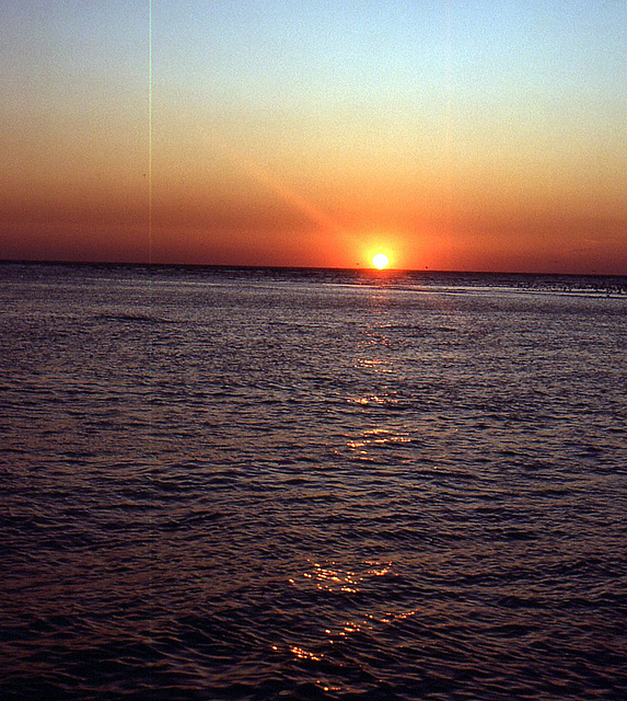 Sonnenuntergang an der Tampa Bay ( IV )
