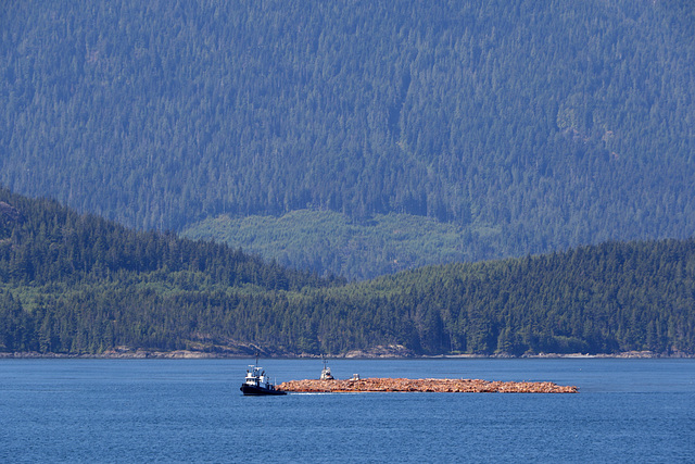 Tug with Logs