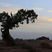 Sunrise at Dead Horse Point