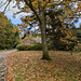 Autumn Colours In Balloch Park