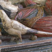 Bird on a tomb