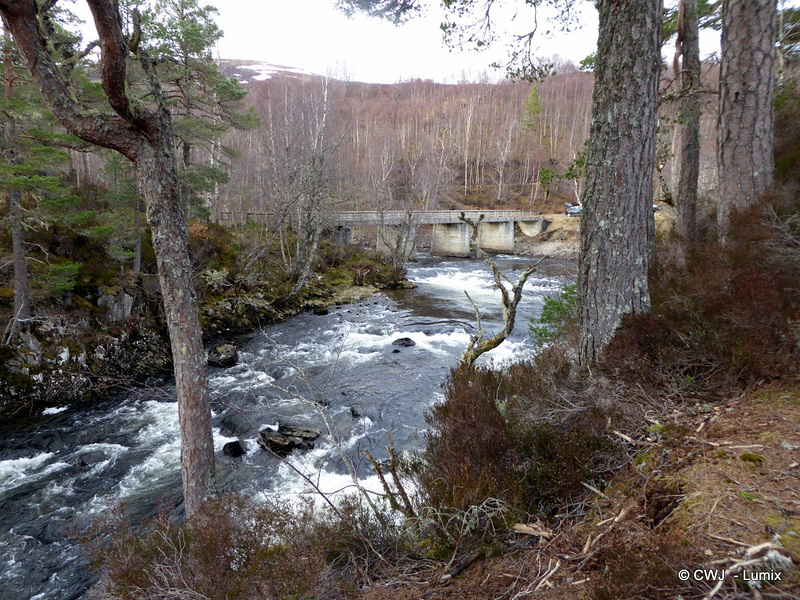 Glen Affric