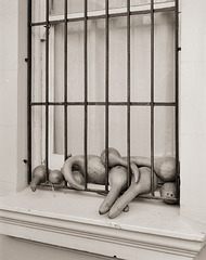Gourds Behind Bars