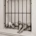 Gourds Behind Bars