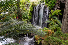 Wasserfall im Jardim Tropical Monte Palace(© Buelipix)