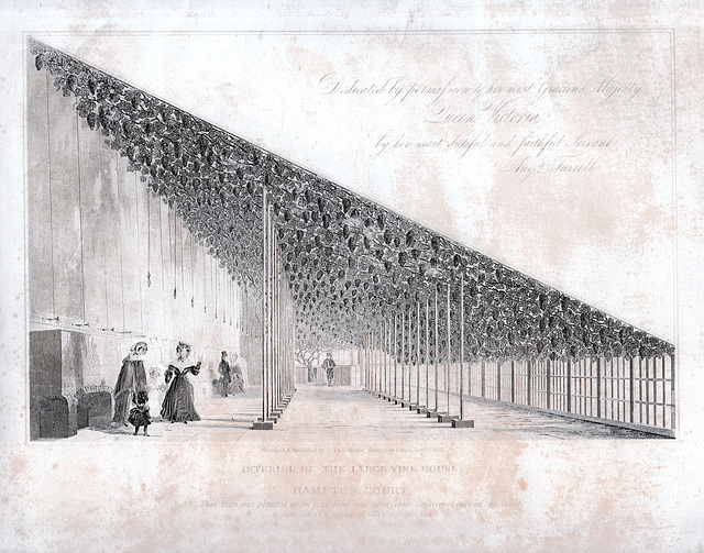 Vinery, Hampton Court Palace, Richmond upon Thames, London