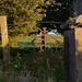 Ye olde fence and gate
