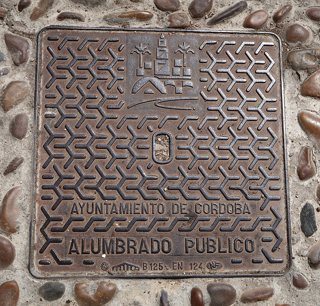 Ayuntamiento de Cordoba, Alumbrado Publico