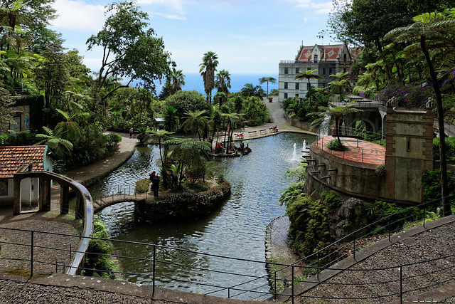 im Jardim Tropical Monte Palace (© Buelipix)