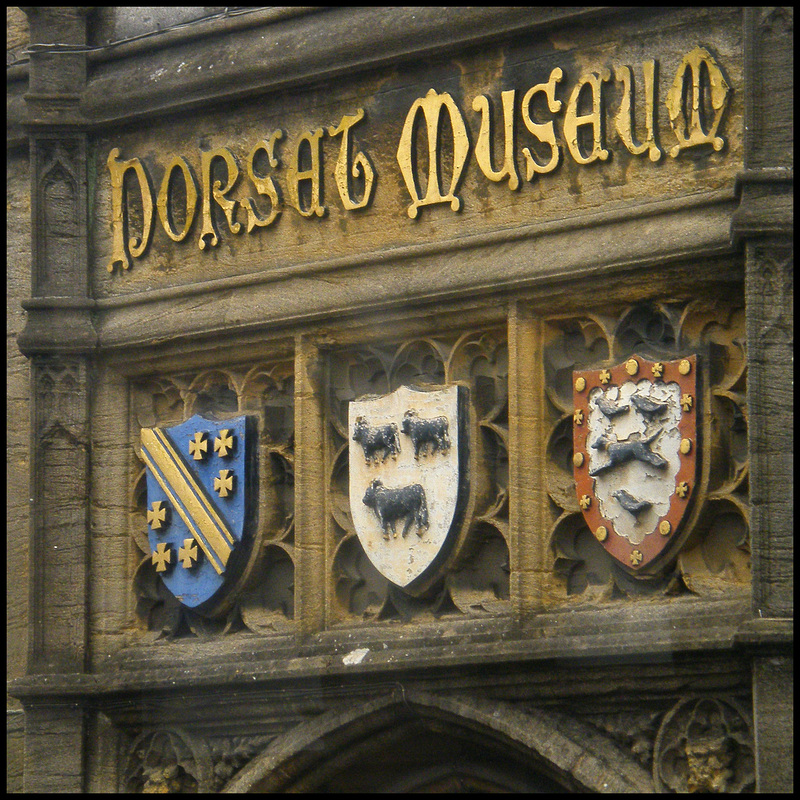 Dorset Museum