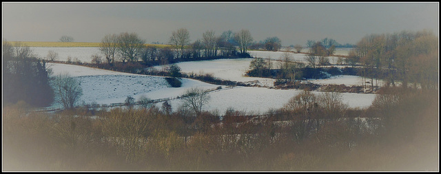 Colors in the Snow