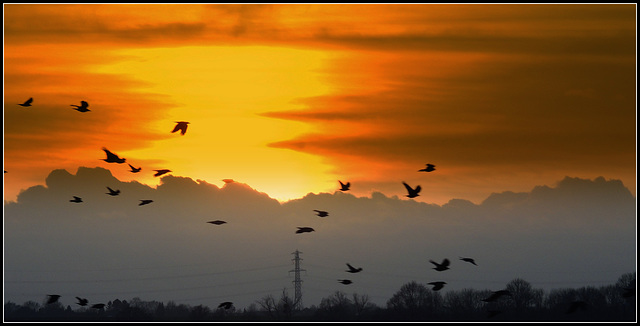 Flying Objects and the sunset