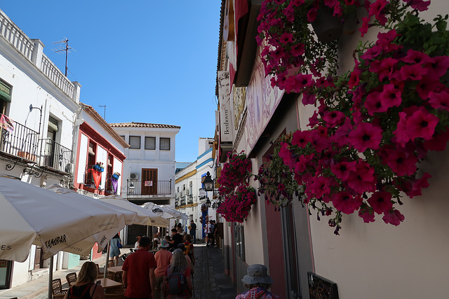 Fiesta de Patios, Cordoba