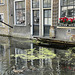 Ducky Delft
