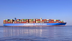 COSCO SHIPPING LEO