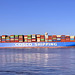 COSCO SHIPPING LEO