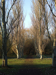 Anglesey Abbey 2010-11-16 012