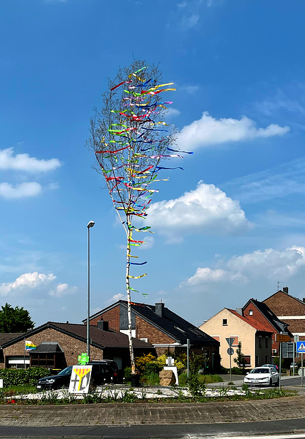 DE - Weilerswist - Maibaum