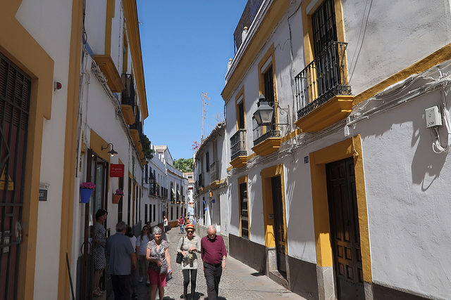 Fiesta de Patios, Cordoba