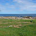 Ostsee vor Svaneke, Insel Bornholm
