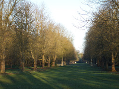 Anglesey Abbey 2010-11-16 011