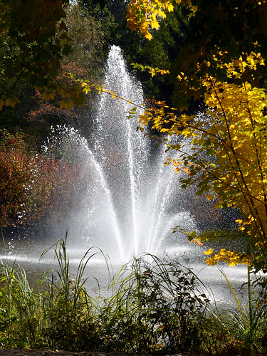 Farben im Herbst