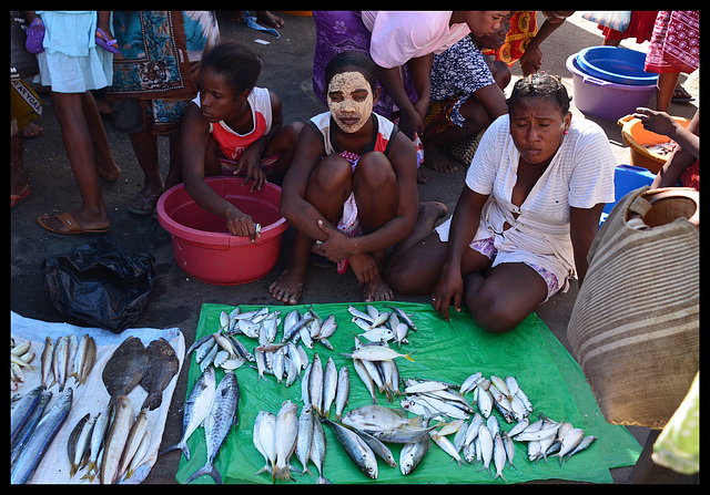 Fish Market