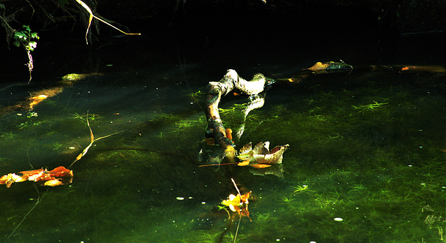 On The Surface 4