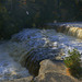 Lower Tahquamenon Falls